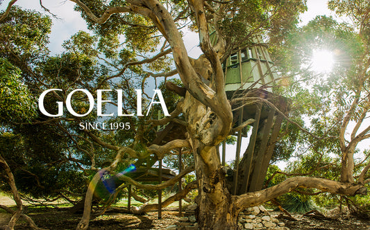 GOELIA's Tree Houses -- A Dream of Sleeping with Nature
