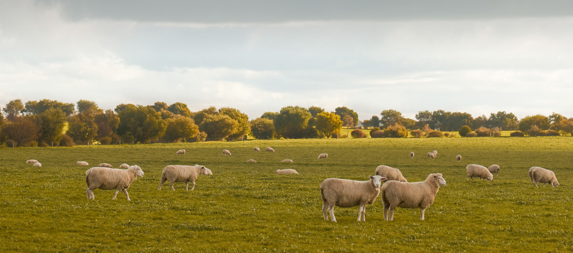 European Flower-Textured Short Coat Womens